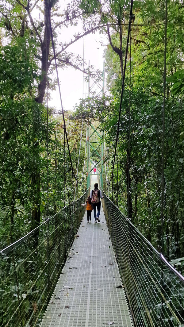 Everything You Need to Know About Visiting Costa Rica with Kids