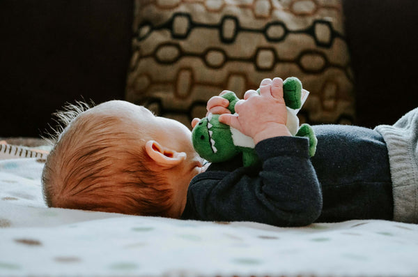 Sweet Dreams on the Road